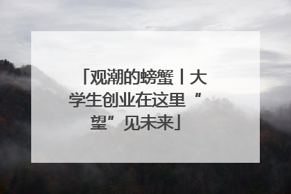 观潮的螃蟹丨大学生创业在这里“望”见未来
