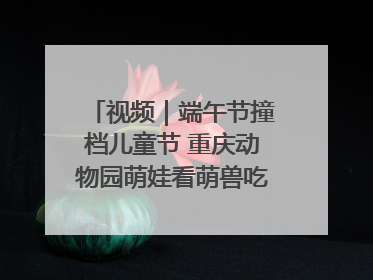 视频｜端午节撞档儿童节 重庆动物园萌娃看萌兽吃特色粽子大餐