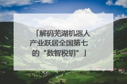 解码芜湖机器人产业跃居全国第七的“数智税钥”