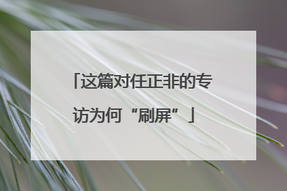 这篇对任正非的专访为何“刷屏”