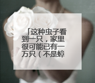 这种虫子看到一只，家里很可能已有一万只（不是蟑螂）