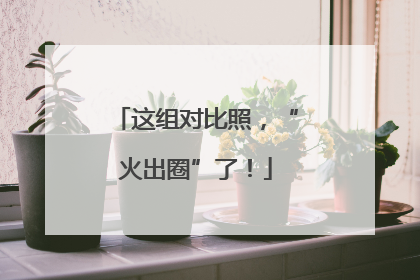 这组对比照，“火出圈”了！