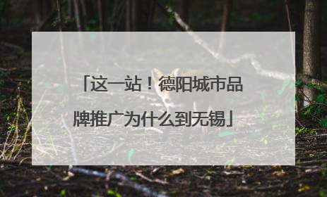 这一站！德阳城市品牌推广为什么到无锡
