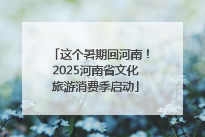 这个暑期回河南！2025河南省文化旅游消费季启动