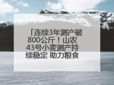 连续3年测产破800公斤！山农43号小麦测产持续稳定 助力粮食增产丰收