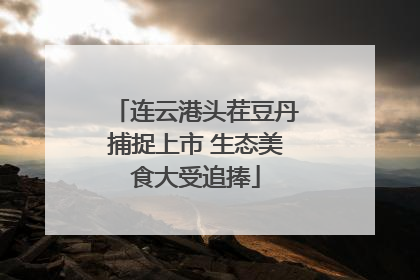 连云港头茬豆丹捕捉上市 生态美食大受追捧