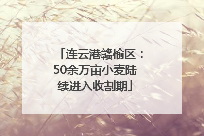 连云港赣榆区：50余万亩小麦陆续进入收割期