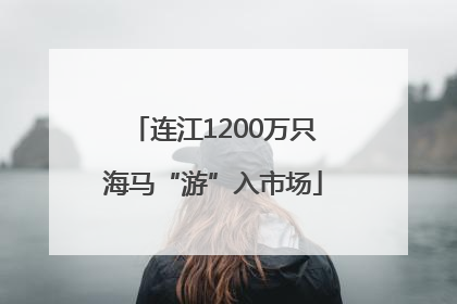 连江1200万只海马“游”入市场