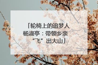 轮椅上的追梦人杨淑亭：带领乡亲“飞”出大山