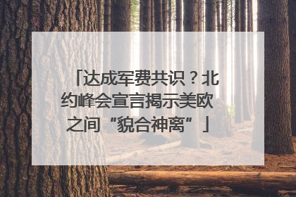 达成军费共识？北约峰会宣言揭示美欧之间“貌合神离”