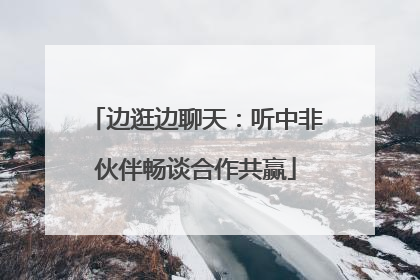 边逛边聊天：听中非伙伴畅谈合作共赢