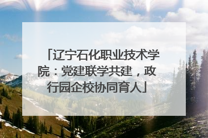 辽宁石化职业技术学院：党建联学共建，政行园企校协同育人