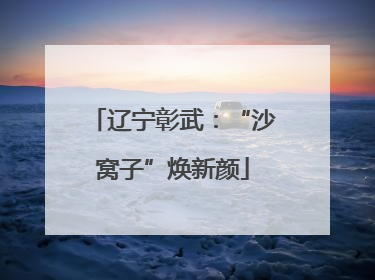 辽宁彰武：“沙窝子”焕新颜