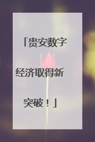 贵安数字经济取得新突破！