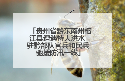 贵州省黔东南州榕江县遭遇特大洪水 驻黔部队官兵和民兵驰援防汛一线