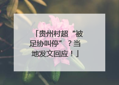 贵州村超“被足协叫停”？当地发文回应！