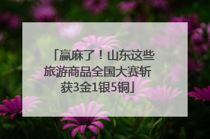 赢麻了！山东这些旅游商品全国大赛斩获3金1银5铜