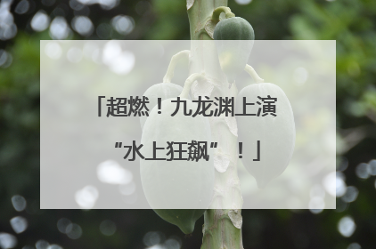 超燃！九龙渊上演“水上狂飙”！