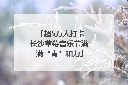 超5万人打卡 长沙草莓音乐节满满“青”和力