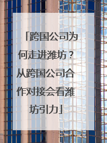 跨国公司为何走进潍坊？从跨国公司合作对接会看潍坊引力