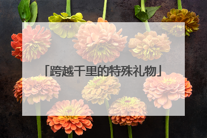 跨越千里的特殊礼物