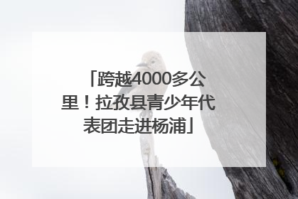 跨越4000多公里！拉孜县青少年代表团走进杨浦