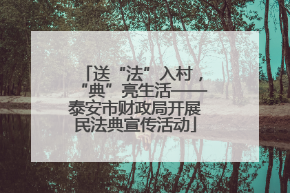 送“法”入村，“典”亮生活——泰安市财政局开展民法典宣传活动