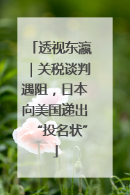 透视东瀛｜关税谈判遇阻，日本向美国递出“投名状”
