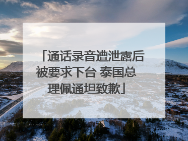 通话录音遭泄露后被要求下台 泰国总理佩通坦致歉