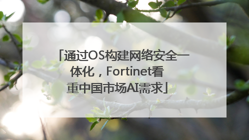 通过OS构建网络安全一体化，Fortinet看重中国市场AI需求