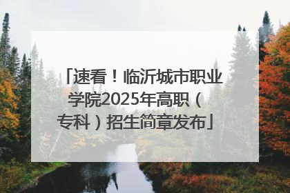 速看！临沂城市职业学院2025年高职（专科）招生简章发布