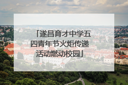 遂昌育才中学五四青年节火炬传递活动燃动校园