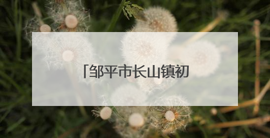 邹平市长山镇初级中学举行“书韵长山・笔舞青春” 书法展演活动