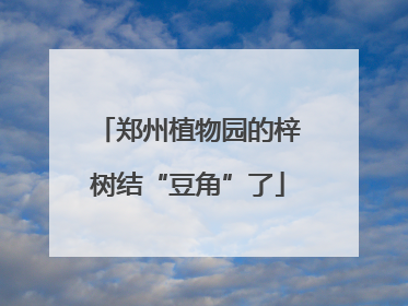 郑州植物园的梓树结“豆角”了