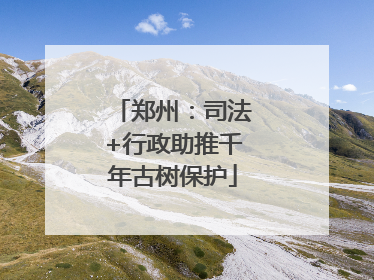 郑州：司法+行政助推千年古树保护