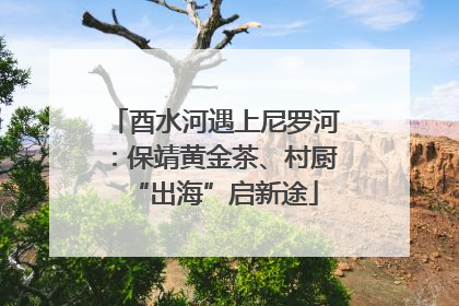 酉水河遇上尼罗河：保靖黄金茶、村厨“出海”启新途