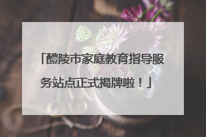 醴陵市家庭教育指导服务站点正式揭牌啦！