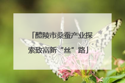 醴陵市桑蚕产业探索致富新“丝”路