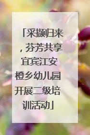 采撷归来，芬芳共享 宜宾江安橙乡幼儿园开展二级培训活动