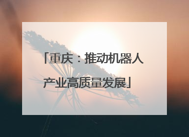 重庆：推动机器人产业高质量发展