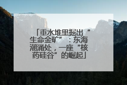 重水堆里掘出“生命金矿”：东海潮涌处，一座“核药硅谷”的崛起