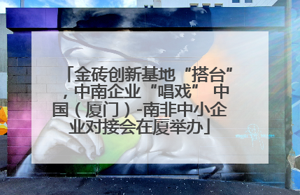 金砖创新基地“搭台”，中南企业“唱戏” 中国（厦门）-南非中小企业对接会在厦举办