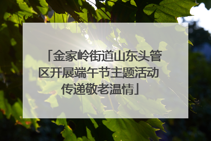 金家岭街道山东头管区开展端午节主题活动 传递敬老温情