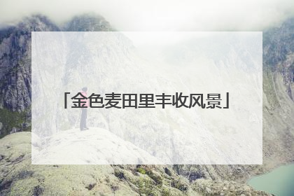 金色麦田里丰收风景