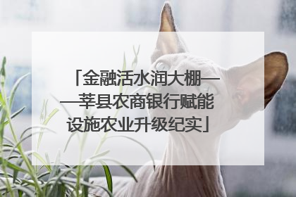 金融活水润大棚——莘县农商银行赋能设施农业升级纪实