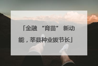 金融 “育苗” 新动能，莘县种业拔节长