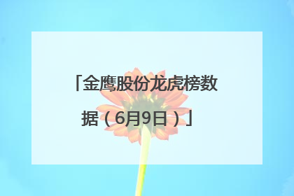 金鹰股份龙虎榜数据（6月9日）