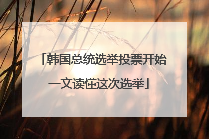 韩国总统选举投票开始 一文读懂这次选举