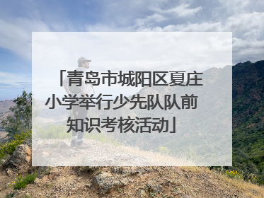 青岛市城阳区夏庄小学举行少先队队前知识考核活动