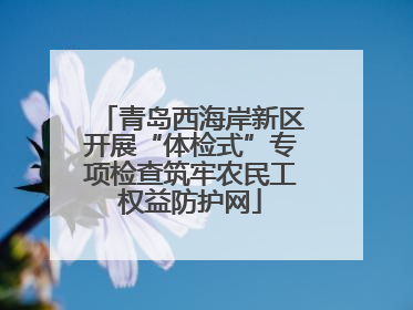 青岛西海岸新区开展“体检式”专项检查筑牢农民工权益防护网